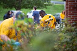 A group of students volunteering at a community clean-up project wearing gold shirts that say "golden bears give back"